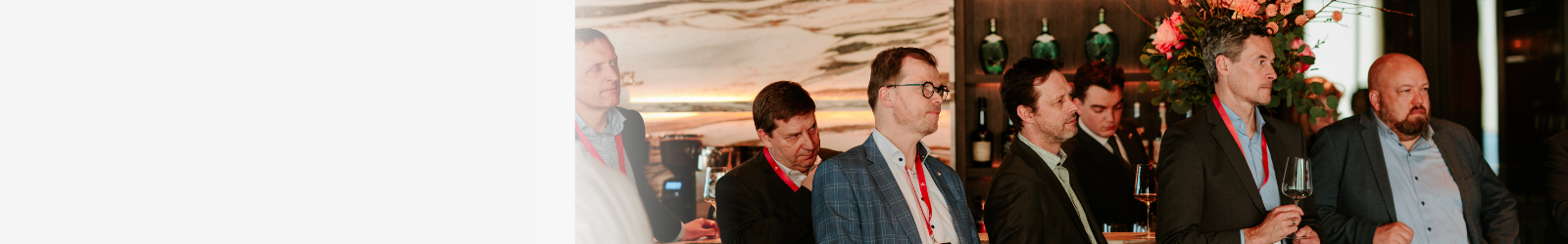 hubspot_landingspage_banner-1600x250 (7)